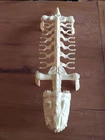 Vintage Mattel He Man MASTERS of the UNIVERSE Battle Bones Carry Case MOTU 1984