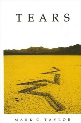 Mark C. Taylor Tears (Taschenbuch)