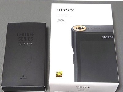 Sony NW-WM1AM2 Hochleistungs-Digital-Audio-Player Englische Sprache...