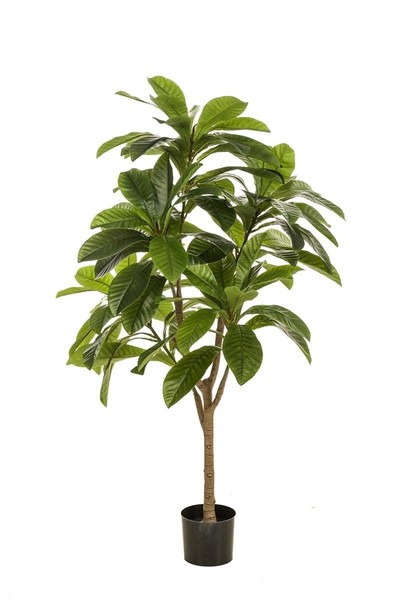 Artplants KüNstlicher Baum Frangipani Morsha, Kunststamm, GrüN, 145Cm-image