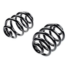 Pair Set of 2 Coil Springs Rear Driver & Passenger Side Left Right for BMW Z3
