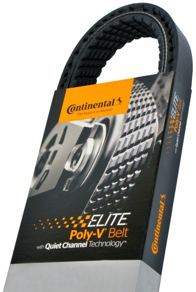 Serpentine Belt Continental Elite 4080392 | eBay 