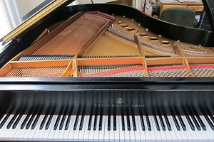 twood1900 | eBay Stores