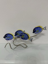 Swarovski Figur Fische Doktorfische Scuba Blu...