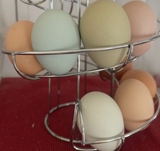 6 fertile hatching chicken eggs - Barnyard mix