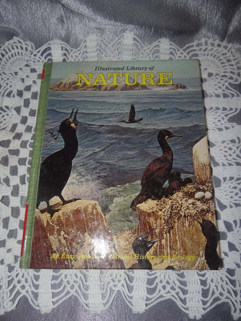 The Illustrated Library Of Nature Vol Four Animal World -Birds Stuttman(1971)