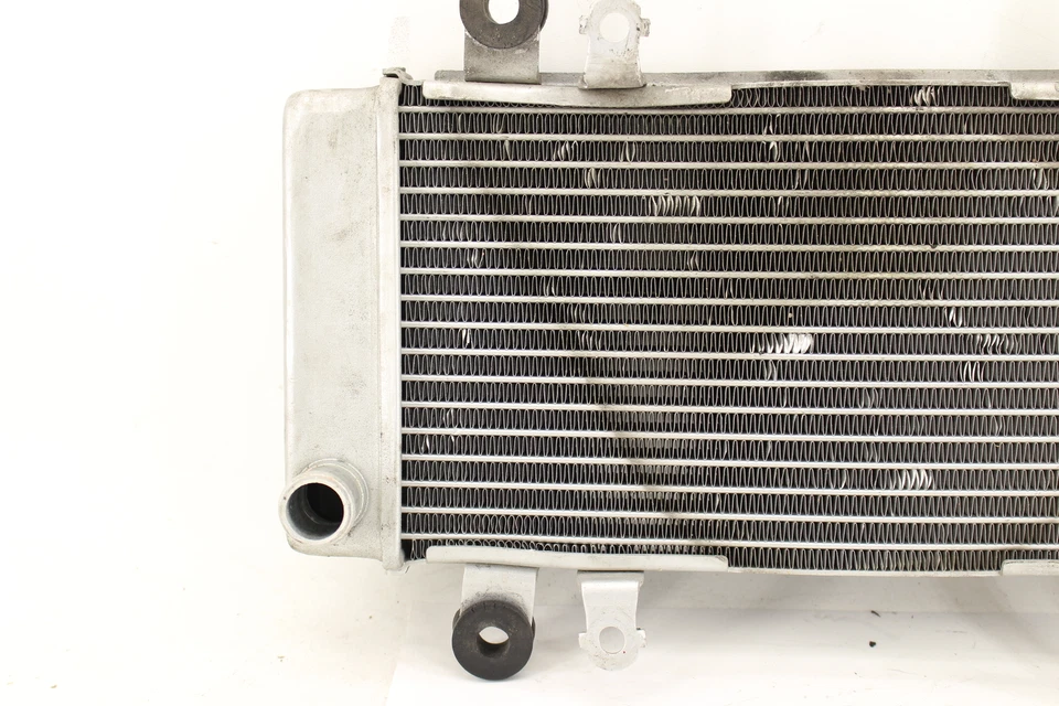 2015 Kawasaki Ninja 300 Ex300b Abs Oem Engine Radiator Motor Cooler Cooling Foto 2 de 4