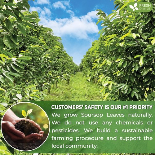 KEYXE Premium Soursop Graviola Leaf Tea | 75 Bags | 75g | 100% Natural | BB 9/26 - Picture 12 of 18
