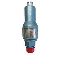 Mercer Valve 91-17D51T11/1 91-17D51T11-1 91-17D51T11 Relief Valve 720 PSI