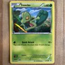2014 Pokemon TREECKO HOLO 6/160 Primal Clash VLP Promo
