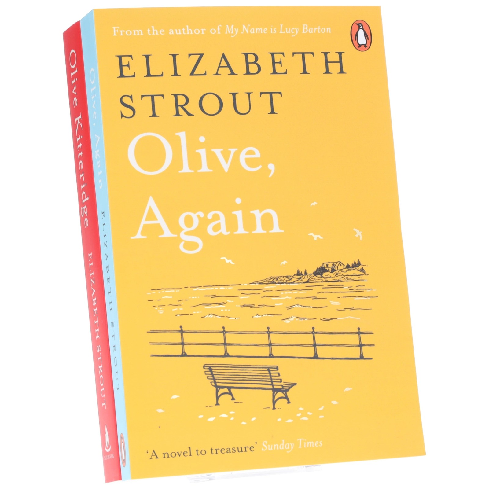 Elizabeth Strout 2 Books Collection Set Olive Kitteridge, Olive Again - Image 3