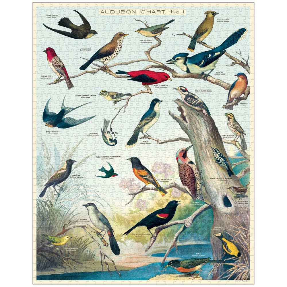 1000pc Cavallini Jigsaw Puzzle Audubon Birds 55x70cm Educational Game 