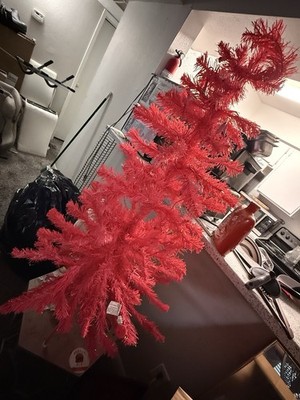 Pino rosa para Navidad