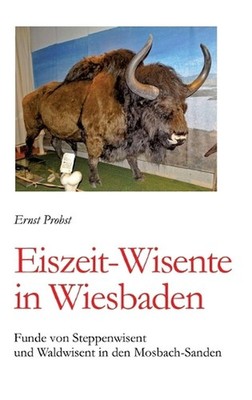 Eiszeit-Wisente in Wiesbaden: Funde von Steppenwisent und Waldwisent in den Mosb