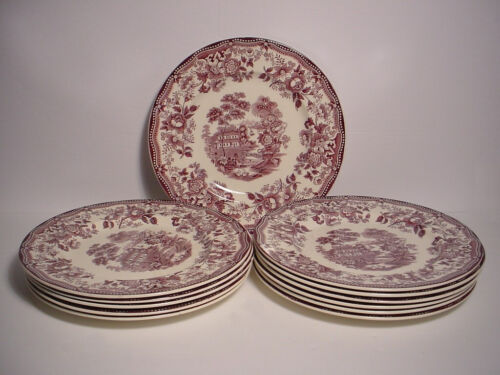 Royal Staffordshire Tonquin 11 Dinner Plates 9 7/8" + Extra for cookiesandkisses