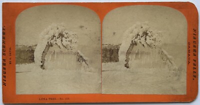 Kanada Niagara Luna Baum C1870 Foto S. Davis Stereo Vintage Albumin