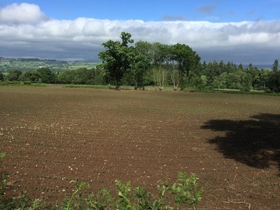 Foto 6x4 frisch gepflügte Felder Beili-Glas aus Monmouthshire und B c2017
