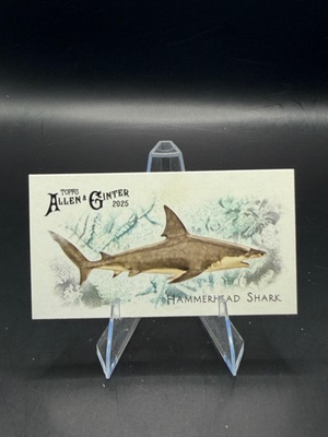 #ad Hammerhead Shark 2025 Topps Allen amp; Ginter Mini 50 Fishes #FGW 25 $1.79