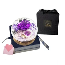 Preserved Flowers in Glass Flower in Glass Dome Eternal Rose in Glass Long-La...