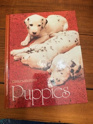 Puppies National Geographic Books for Young Explorers 1982 Hardcover Vintage