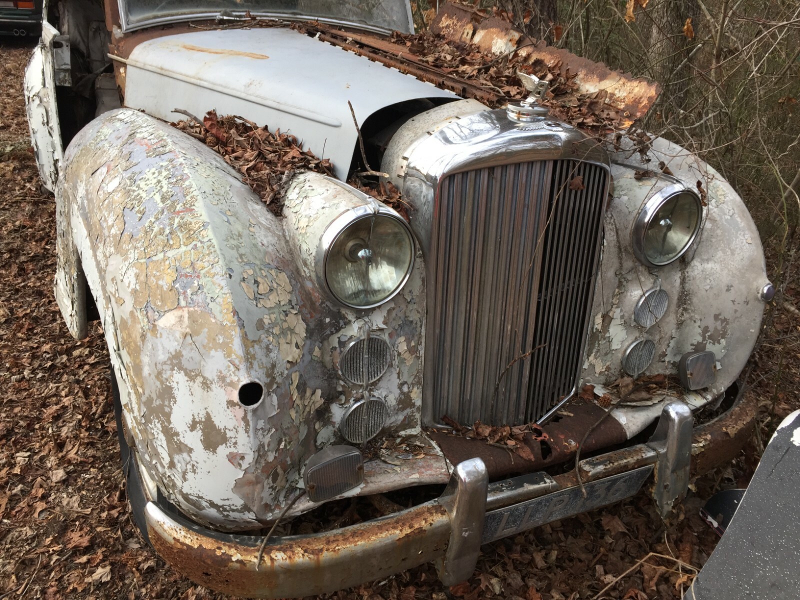 BENTLEY "SPECIAL" BUILDER? JACKING PLATES. EVERYTHING FOR YOUR "SPECIAL" BUILD