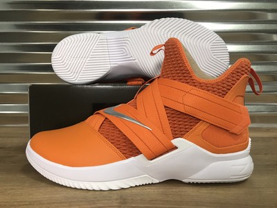 lebron limited edition shoes