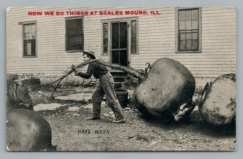 Giant Turnips SCALES MOUND IllinoisAntique Exaggeration Fantasy Farm