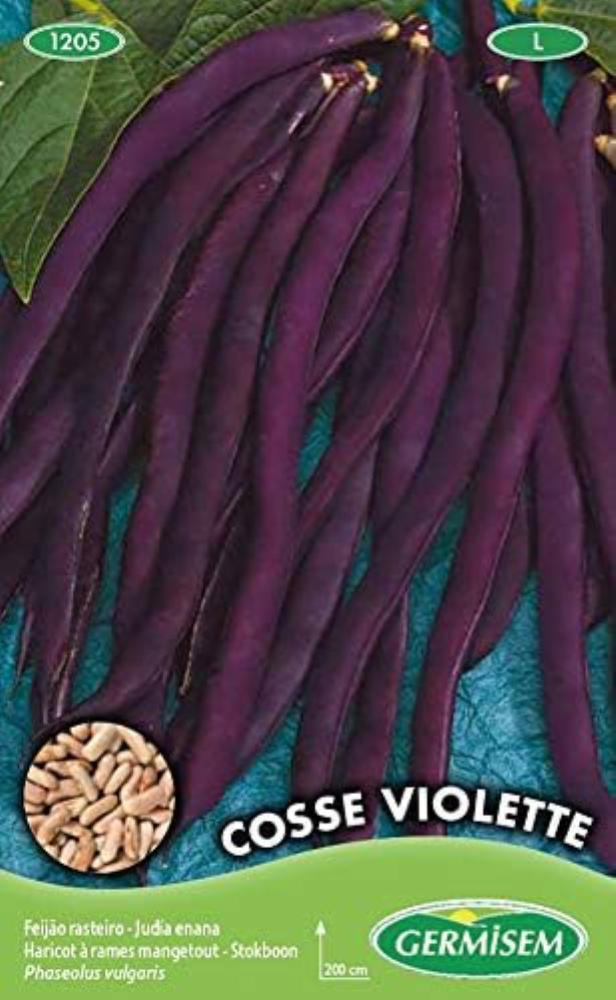 Cosse Violette Semi di Fagiolo Rampicante 100 g