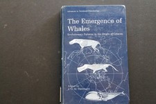 The Emergence of Whales Evolutionary Patterns...