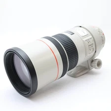 Canon EF 300mm F/4L IS USM (Canon EF mount) #41