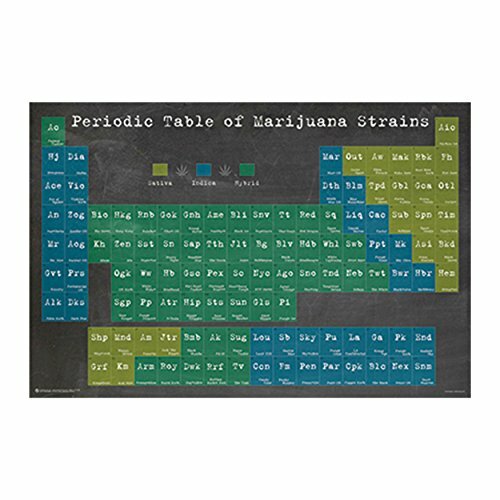 Periodic Table of Marijuana Strains Poster (24x36) PSA010885 | eBay