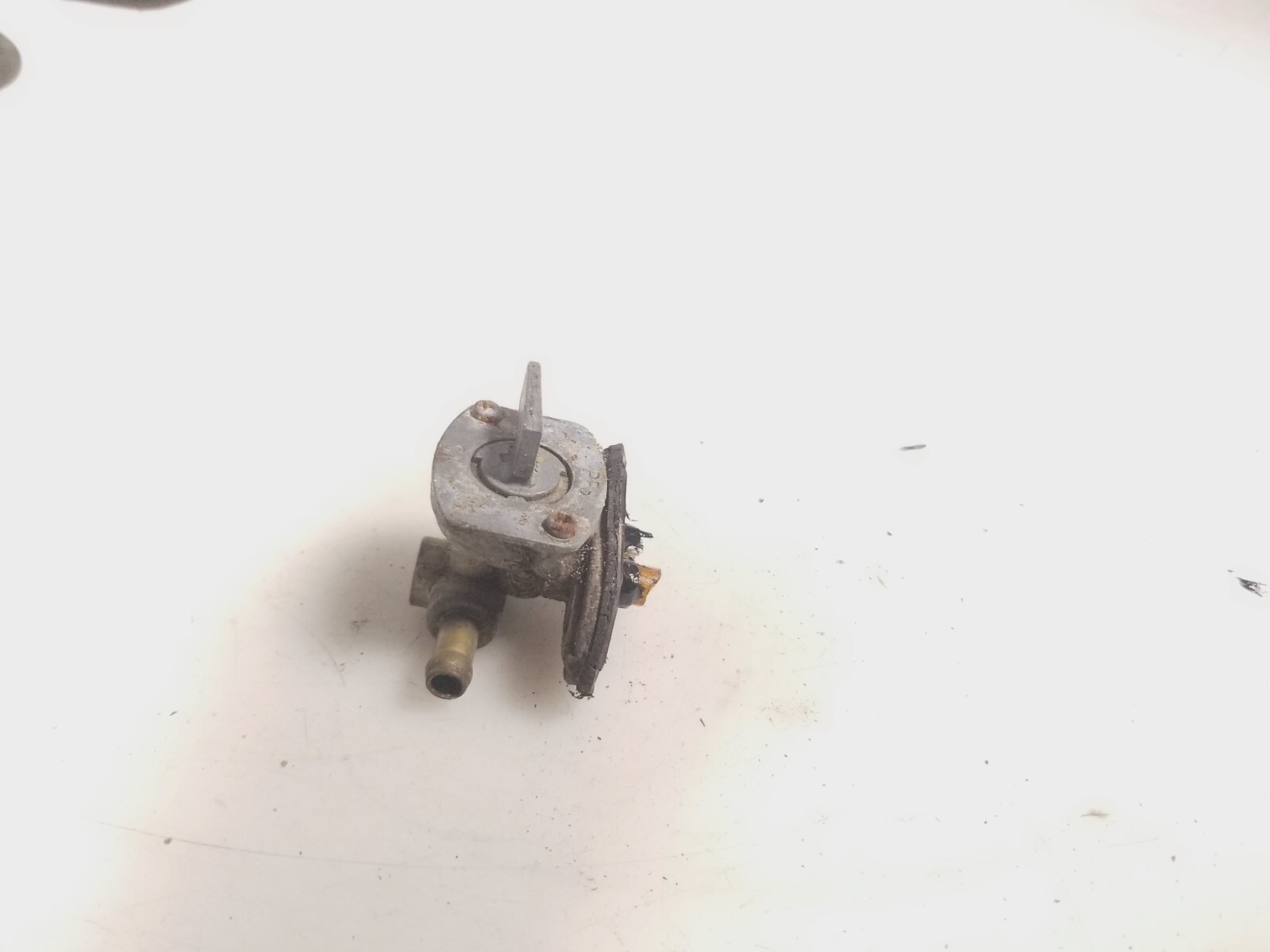 Picture 3 of 6