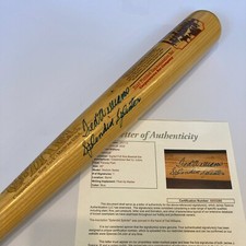 Beautiful Ted Williams 