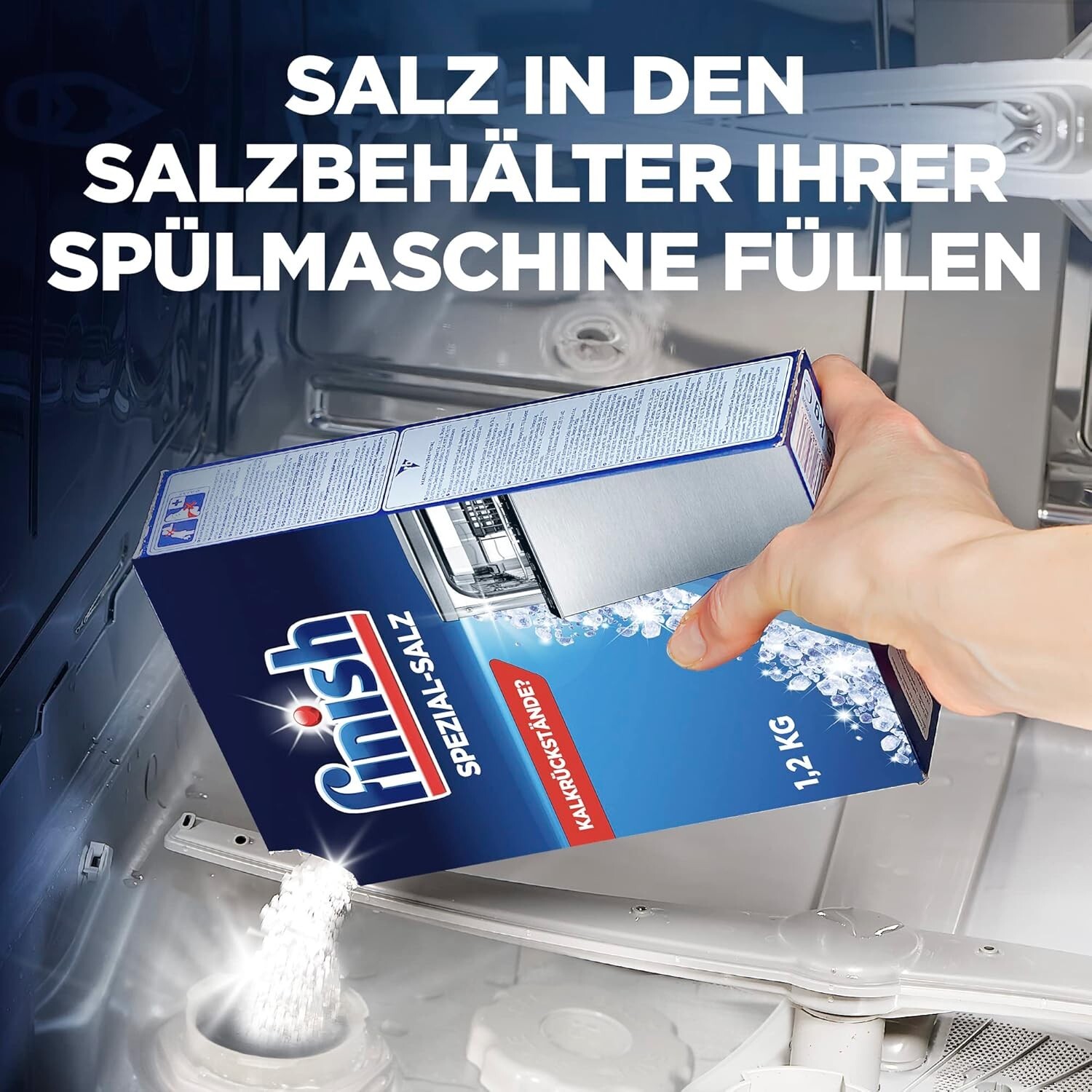 Bild 7 von 8