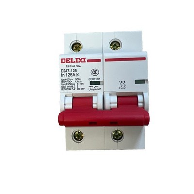 1PCS Delixi DZ47-125 DZ47125, 2P-125A Heavy Duty Circuit Breaker, On Off V Blade