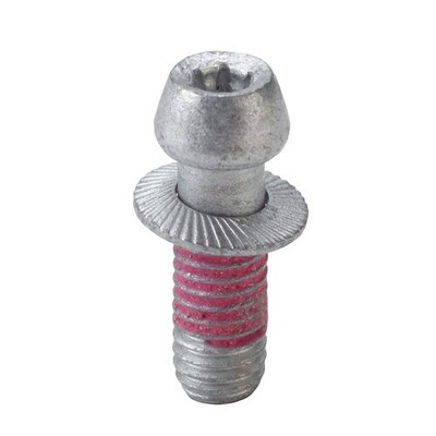 Schraube RDKS Ventil - M5, Torx TX15 | 10 Stück