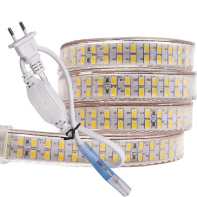 220V 240leds/m SMD 2835 led strip flexible waterproof led tape + Power EU plug