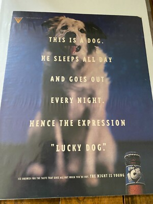Vintage 1996 Lite Ice Beer Lucky Dog Sleeps All Day Goes Out Every Night ad