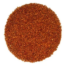 Eva Impex Garden Cress Seeds – Lepidium Sativum (Halim Seeds)