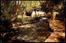 Judaica Israel Old Postcard Sources of the Jordan
