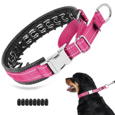 Mayerzon Martingale Dog Collar Hot Pink M-L