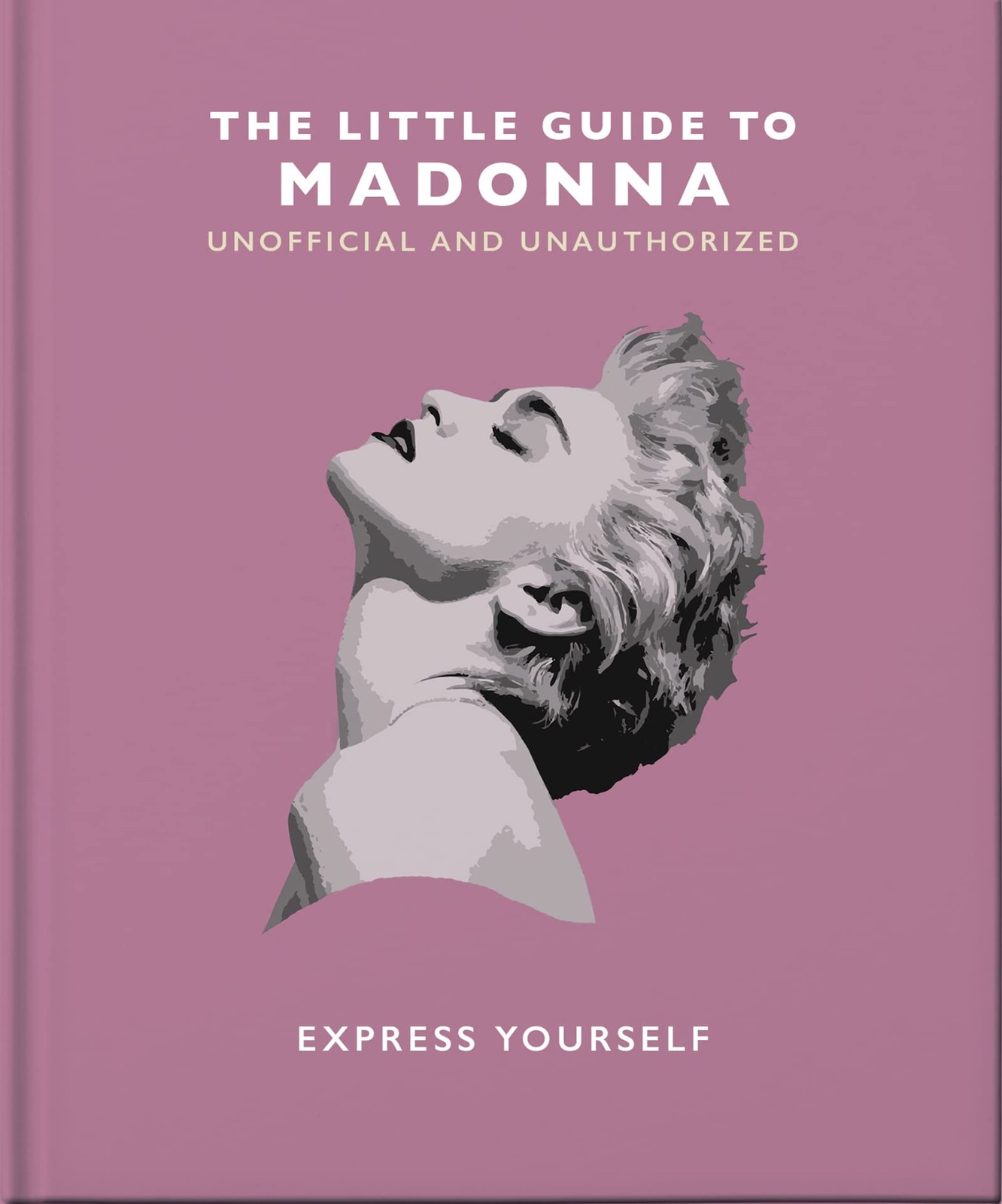 The Little Guide to Madonna: Express yourself by Orange Hippo! HARDBACK - Image 4