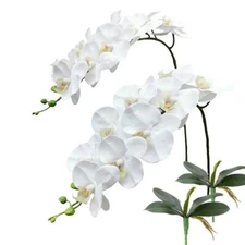 69cm Artificial Phalaenopsis Flower Branches Real Touch Faux Orchid Stems for Fl
