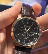 Наручные часы Citizen Eco-Drive Men's Rose