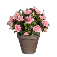 Mica Decorations Azalee Kunstpflanze Im Blumentopf Stan - H31 X Ø26 Cm - Pfirsic