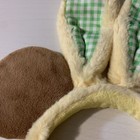 Bild 11 von 12