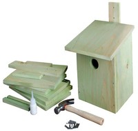 Bastelsatz Nistkasten Bausatz Bastelset Kinder Vogelhaus Basteln Kohlmeise Holz