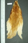 Foto 1 di 9