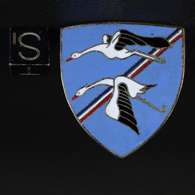Écusson Escadron De Chasse 2/5 Île De France – Insigne Tissu Usé