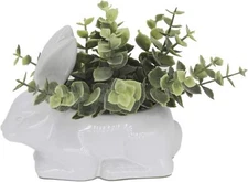 Flora Bunda Ceramic Bunny Rabbit with Artificial Eucalyptus Indoor pot